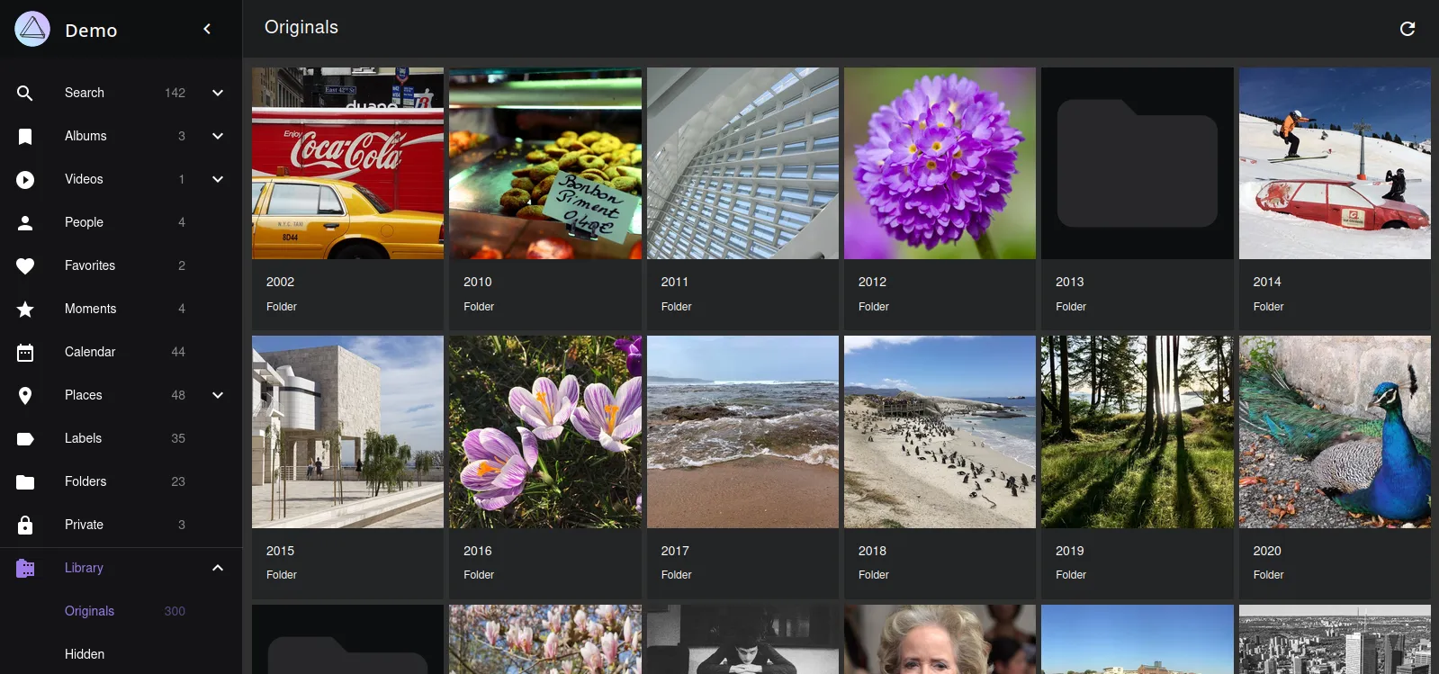 Главное окно сервисного приложения для хранения фотографий PhotoPrism