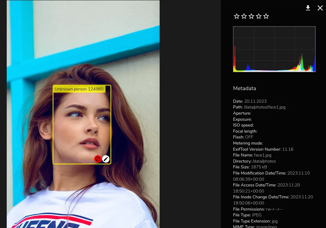 Add a person's name to a face-recognized photo and view metadata in Photonix