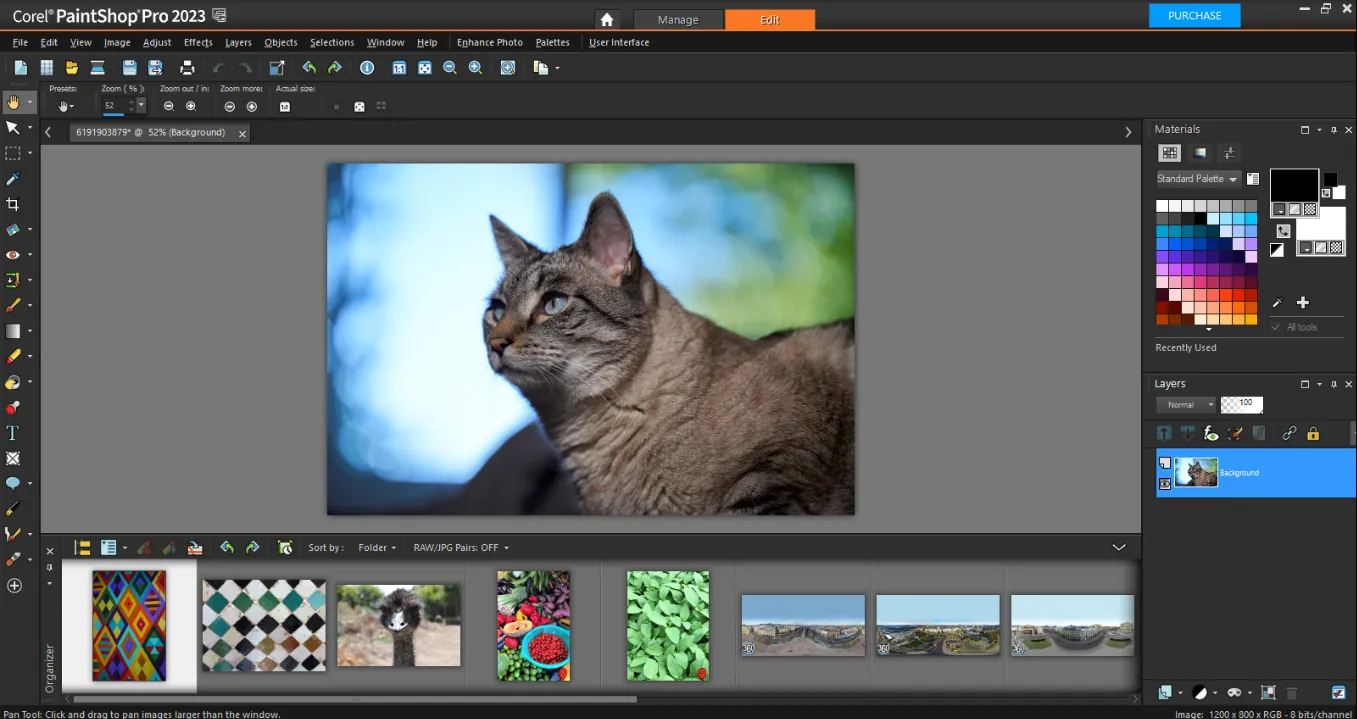 Corel PaintShop Pro's Advanced Photo Editing Mode