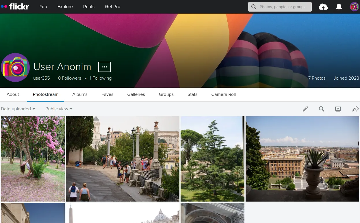 Flickr photographer profile page