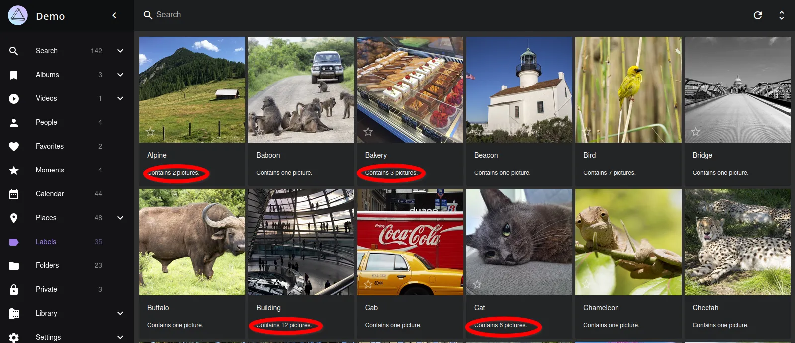 Implementation of the algorithm for sorting photos by tags in PhotoPrism