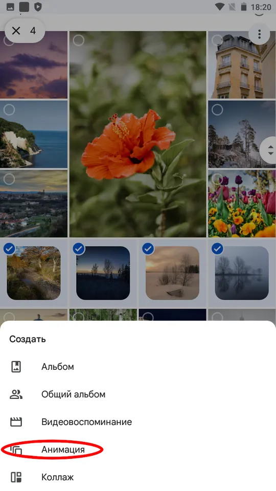 Выбор фото и создание анимации GIF в Google Photos