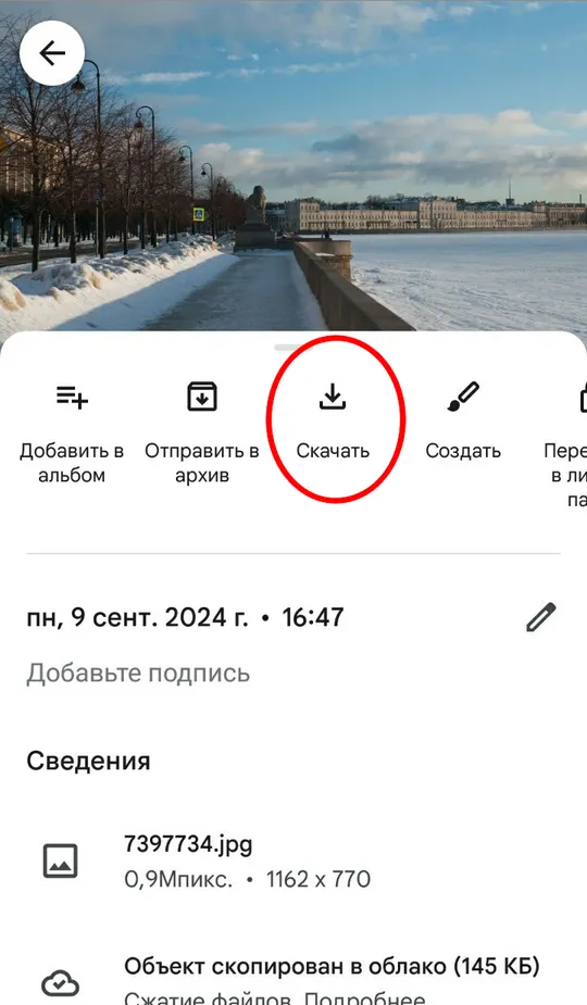 Как перенести отдельное фото в приложении Google Photos на телефоне