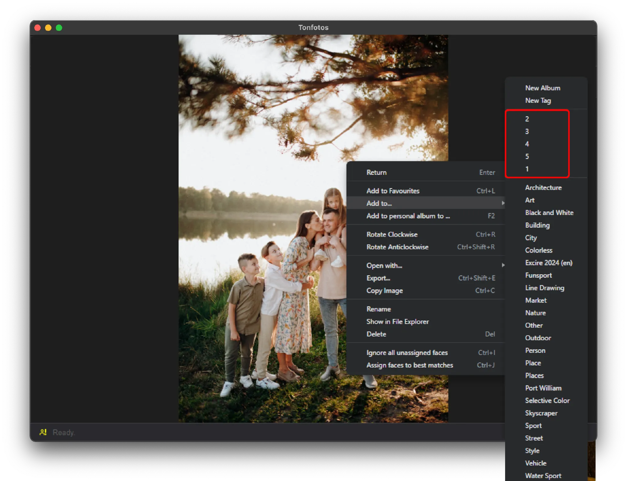 Implementing a rating system using albums in Tonfotos