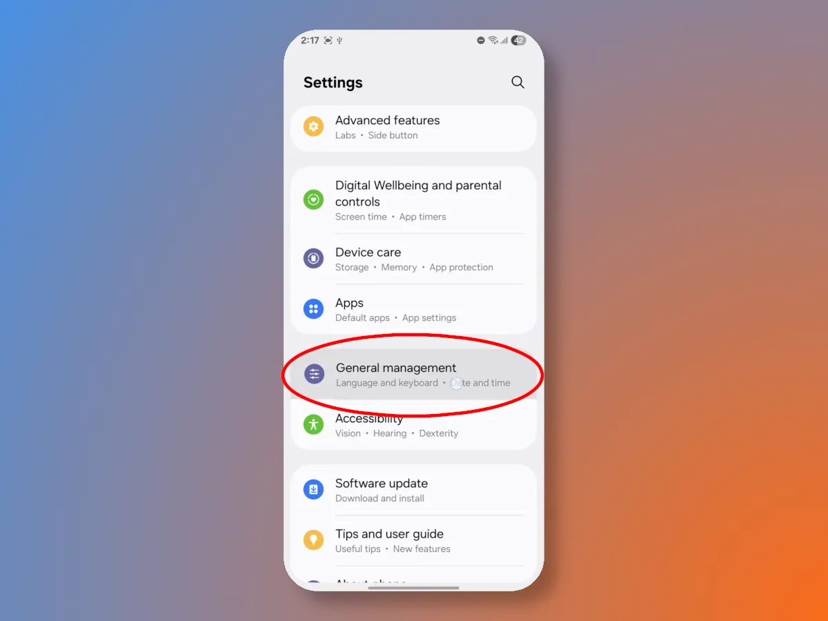 General Guides in Samsung Phone Settings