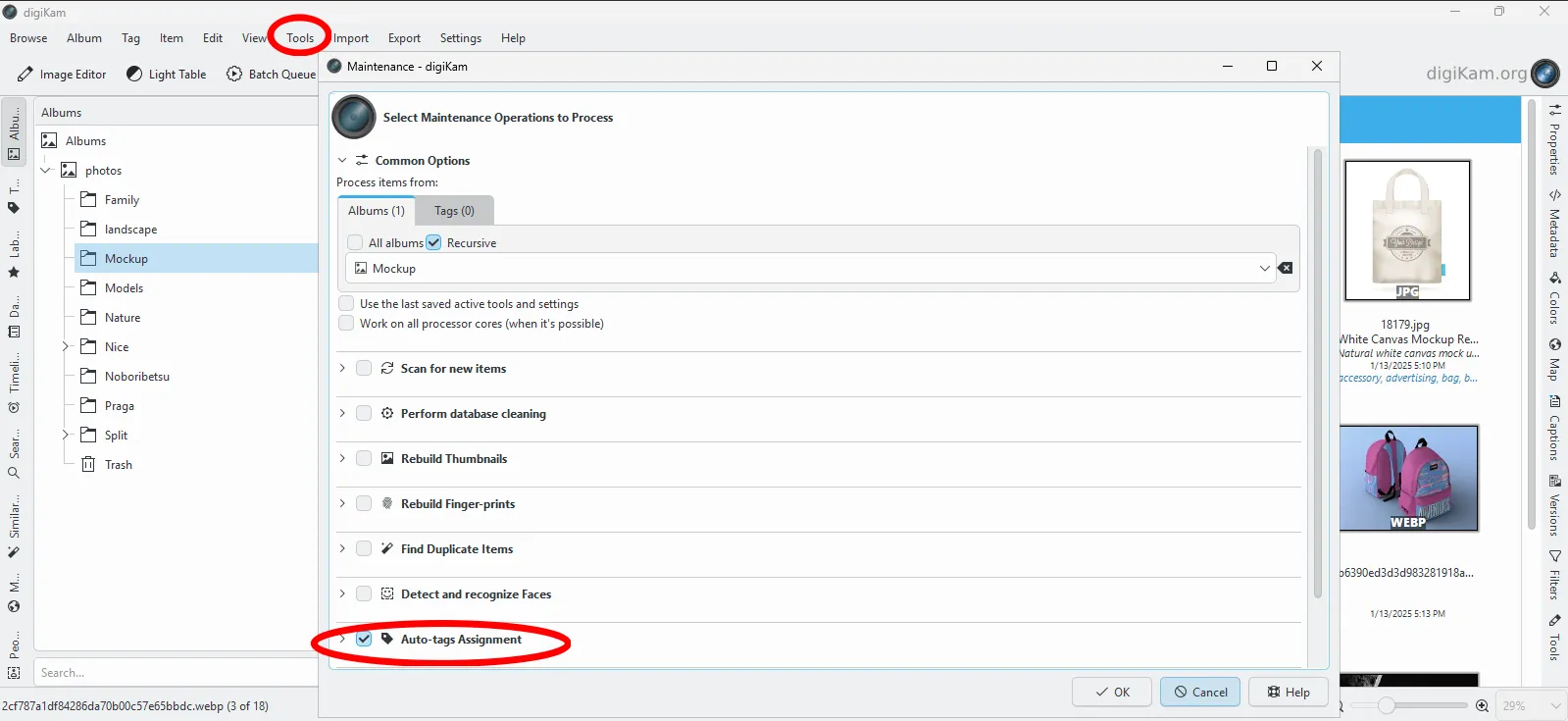 Location of the automatic tagging feature in DigiKam