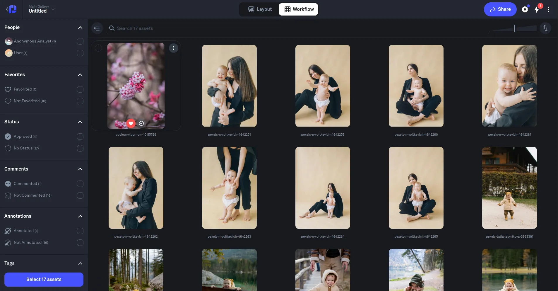 Picflow Workspace Mode