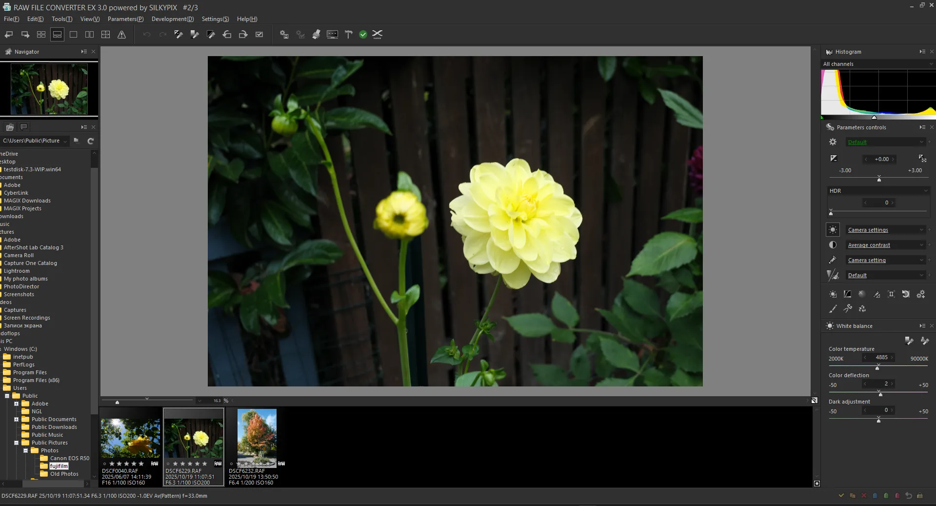 RAWファイルコンバーターEXで写真を開く例