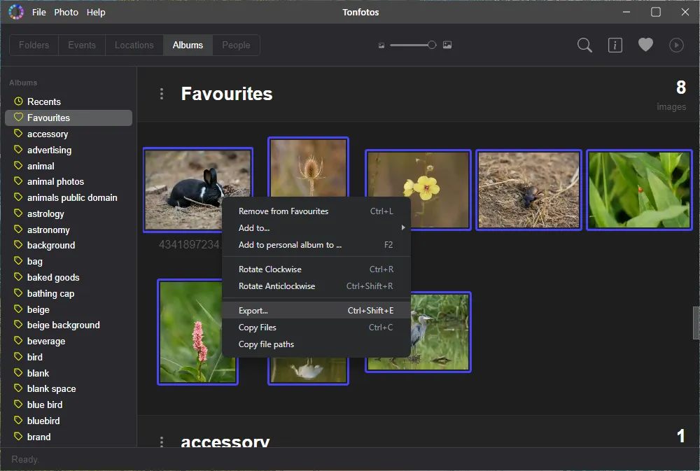 Export selected photos to Tonfotos