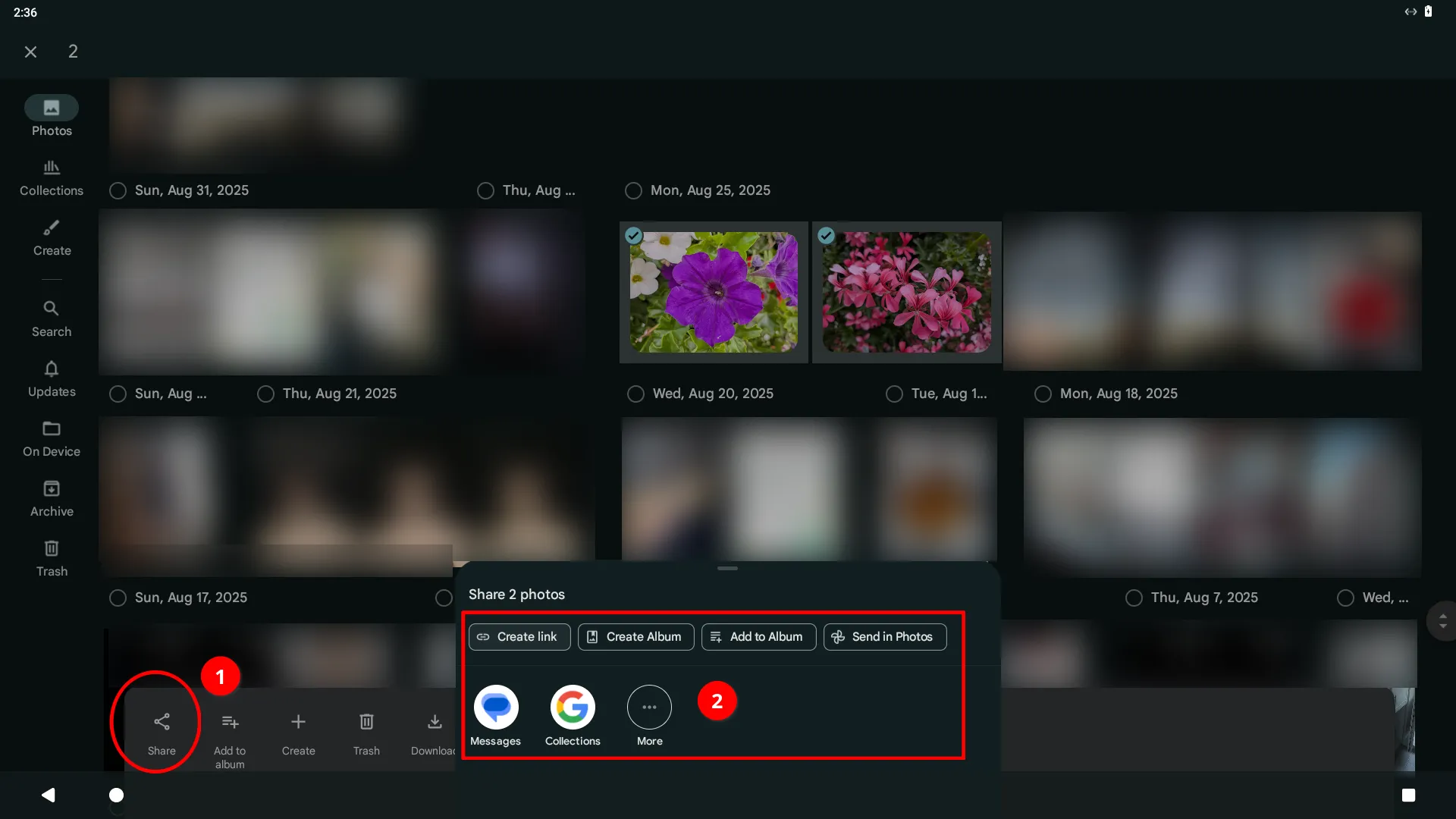 An example of how to share a photo in the Google Photos mobile app