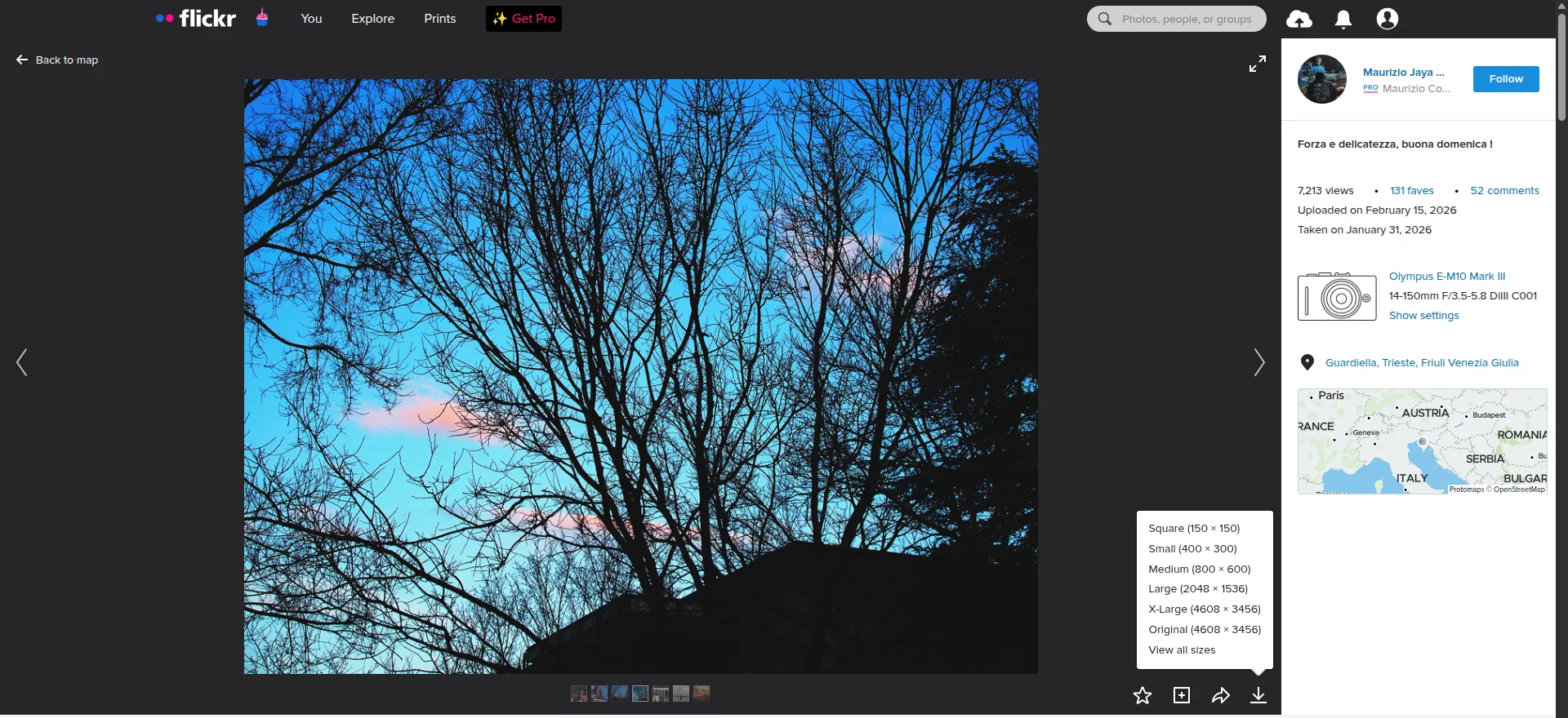 An example of content display on the Flickr website