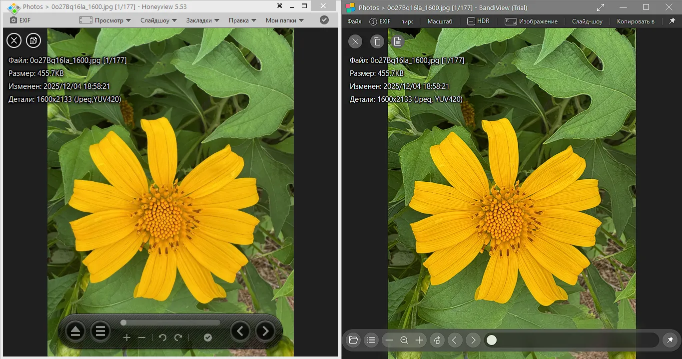 Сравнение интерфейсов программ BandiView и Honeyview
