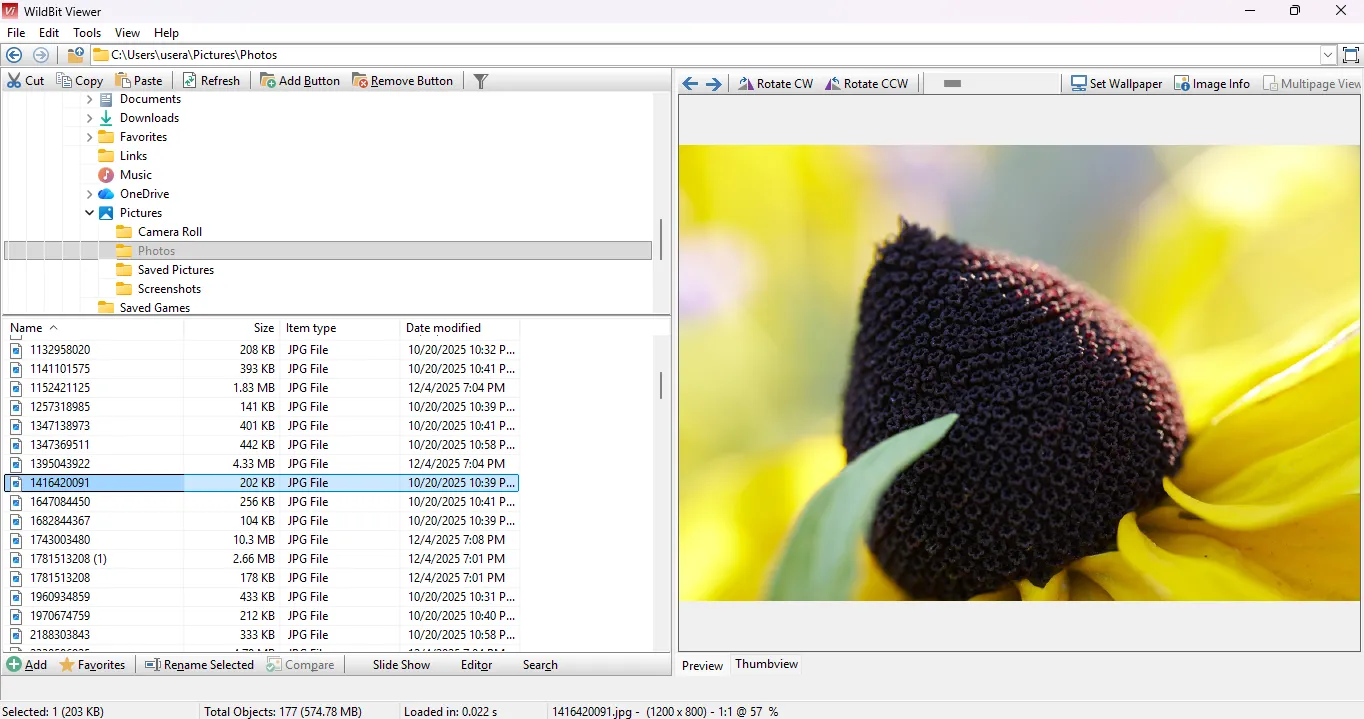 Интерфейс программы для просмотра фотографий WildBit Viewer