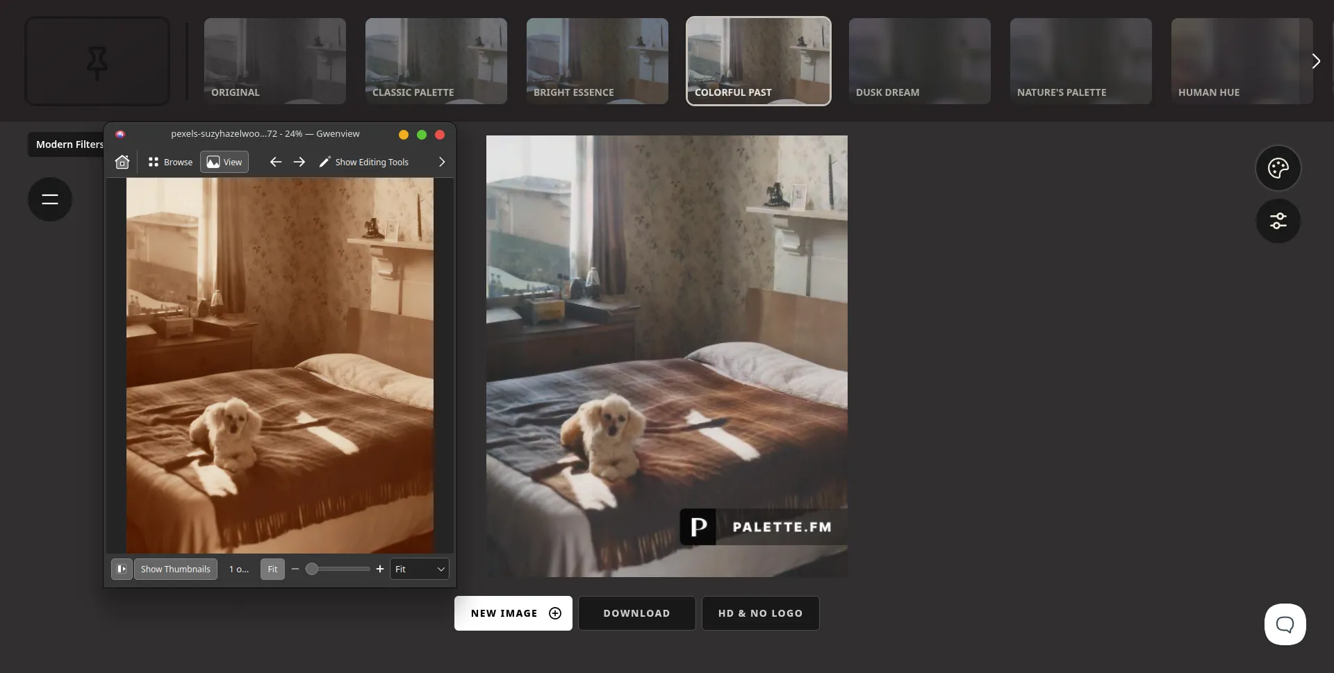 Ein Beispiel für das Kolorieren eines Fotos in Palette