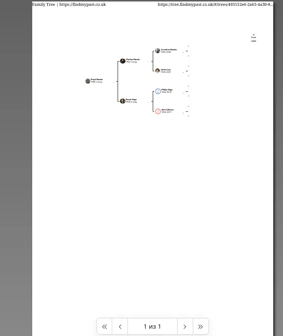 Image of a family tree created in Findmypast