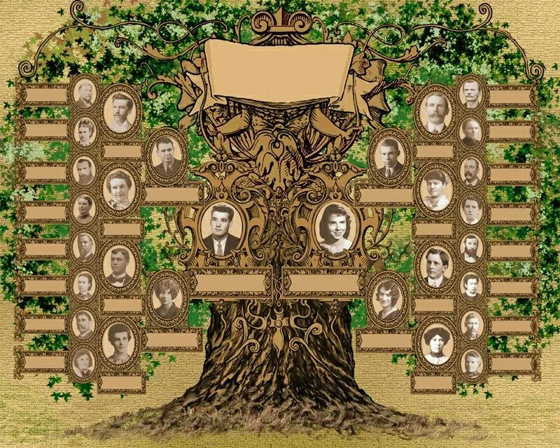 An example of a family tree on a fixed template in the “Bowtie” structure