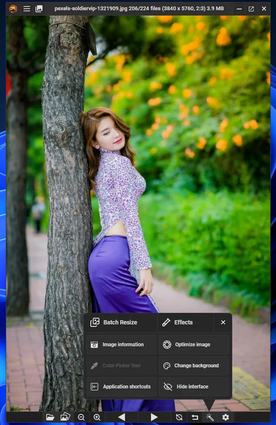PicViewでの写真表示例とインターフェース