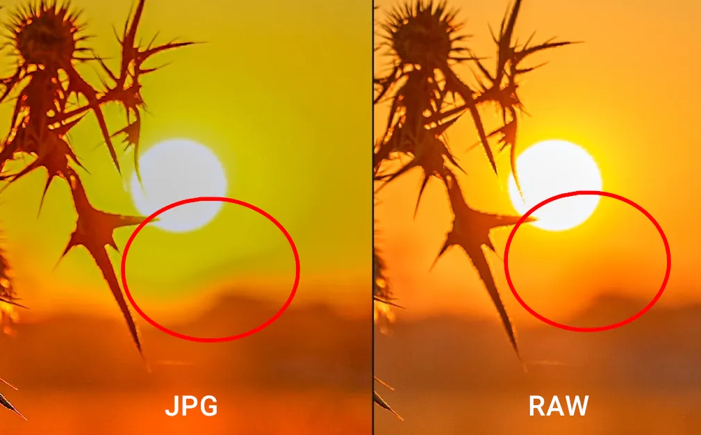 Example of sky gradient distortion in JPG