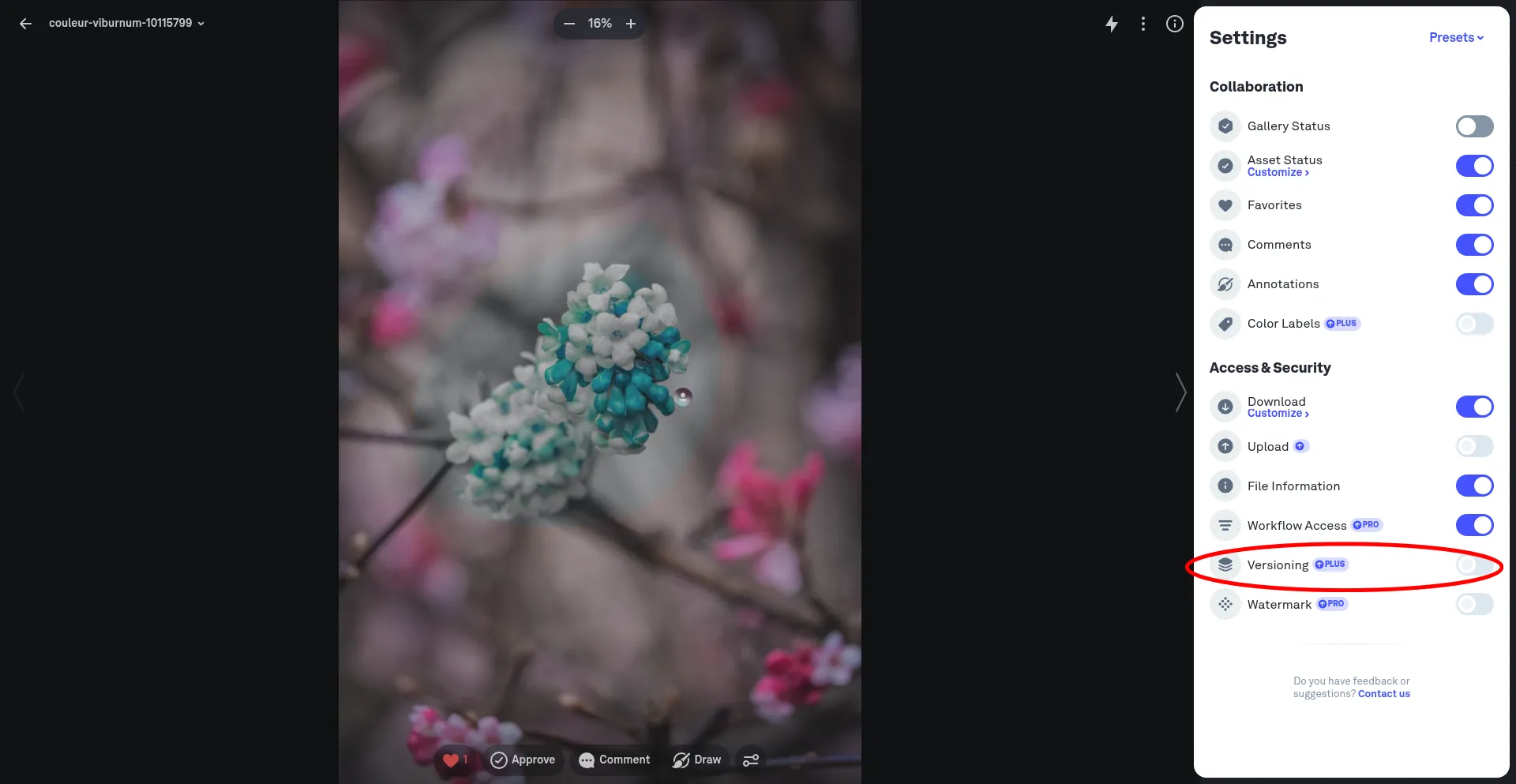 Ability to customize version selection in Picflow