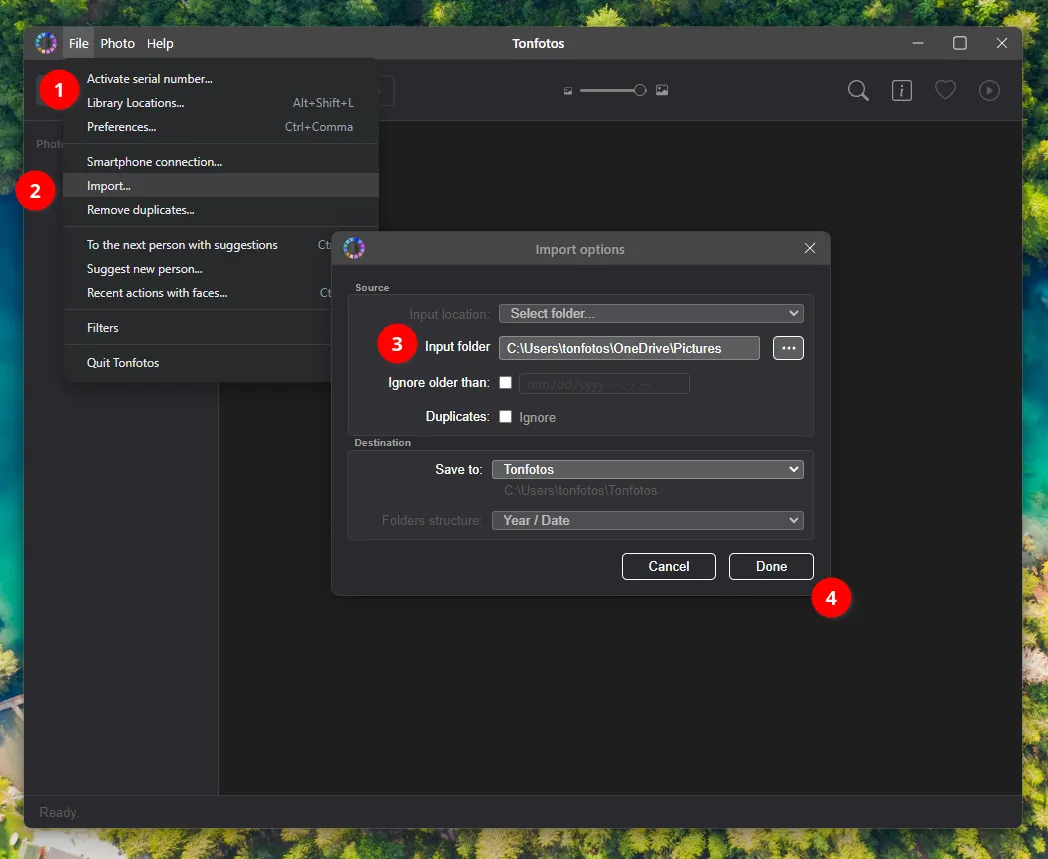 Setting up the photo import wizard from OneDrive to Tonfotos