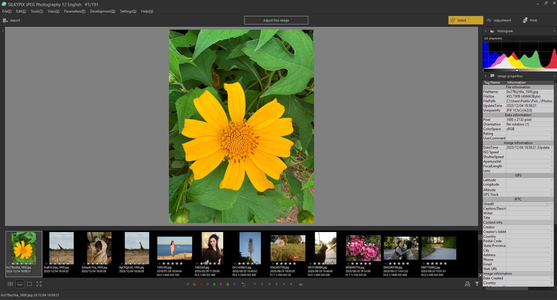 SILKYPIX JPEG写真12インターフェース