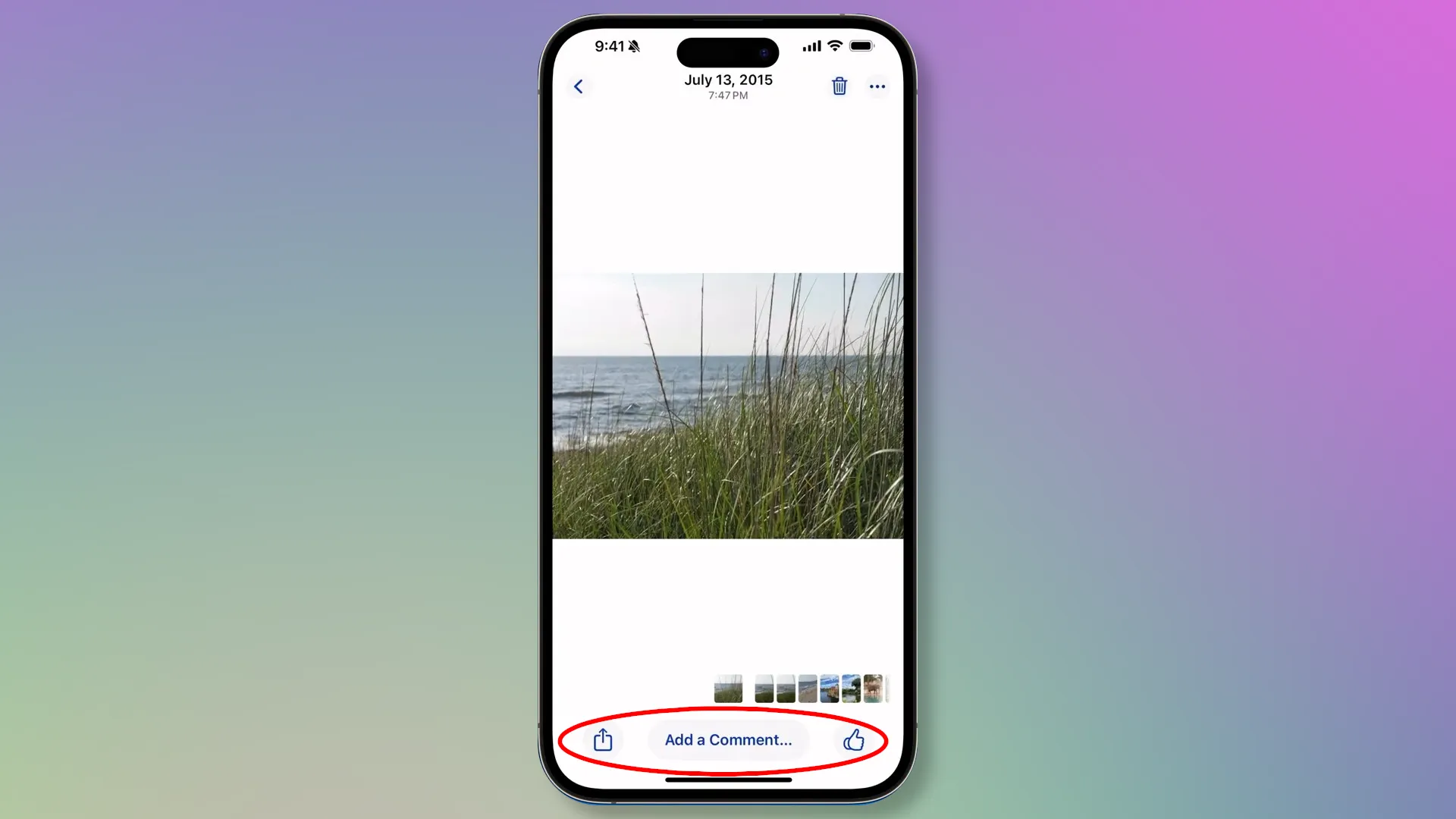 Comments and reactions in Apple Photos