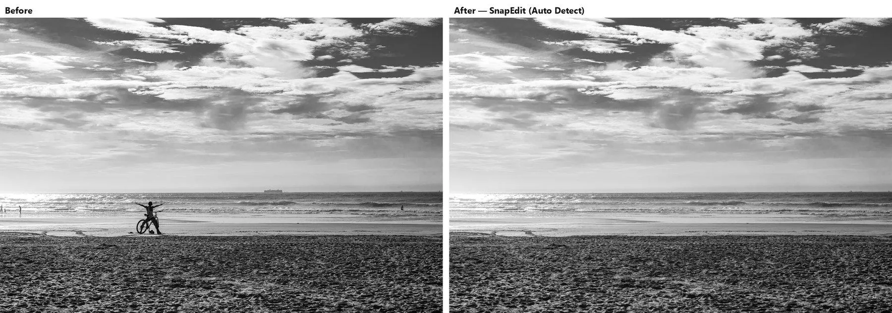 Snapedit — wires