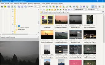 Интерфейс программы FastStone Image Viewer