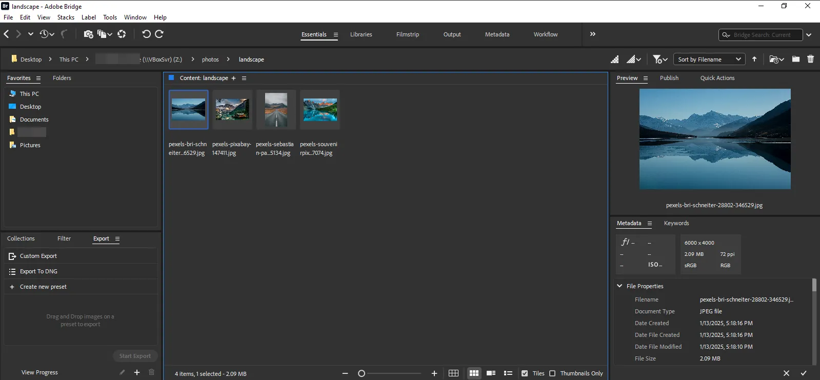 Adobe Bridge photo manager interface