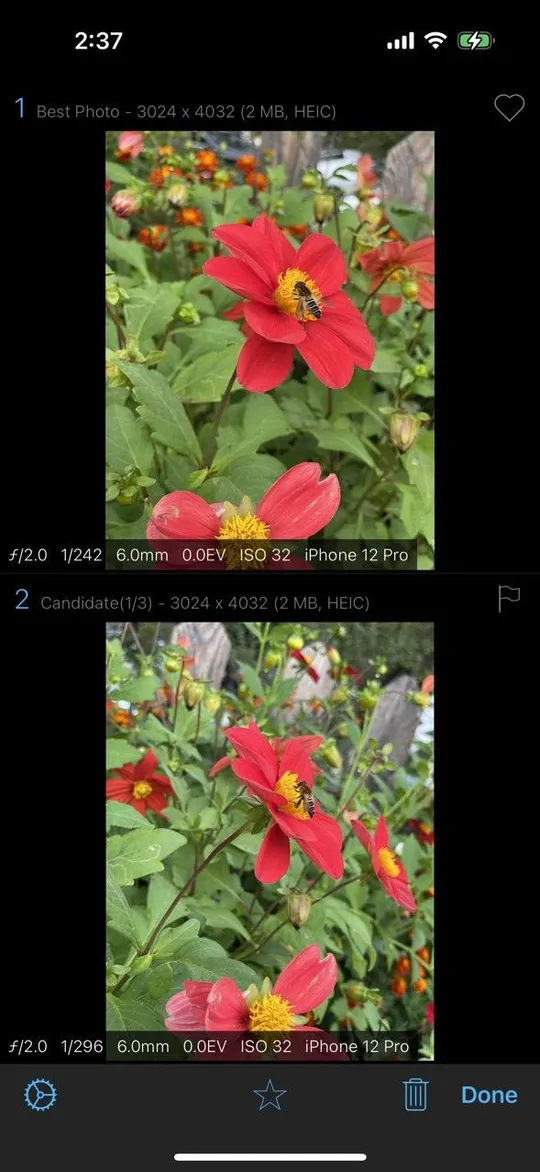 Compare duplicate photos in HashPhotos