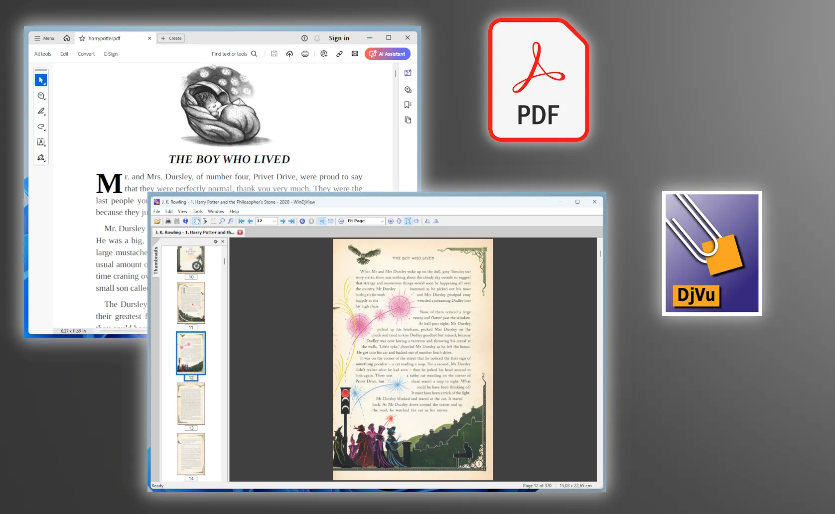 What is PDF and how is it different from DjVu