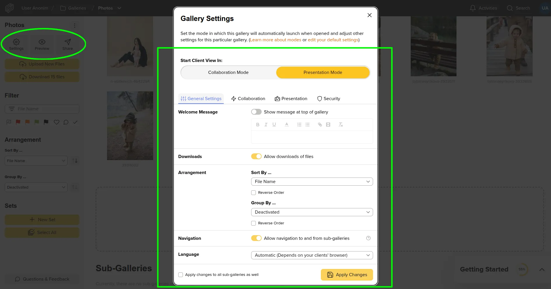 Gallery display options for the client