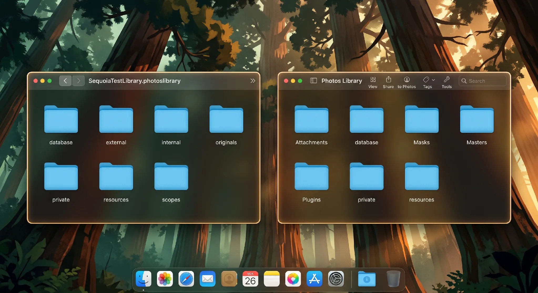 Actual structure of the Apple Photos library