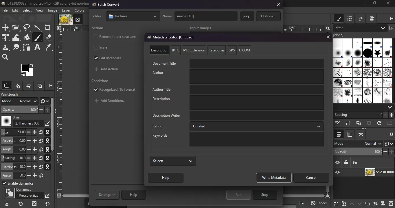 Plugin Batcher et outil d'édition de métadonnées dans GIMP