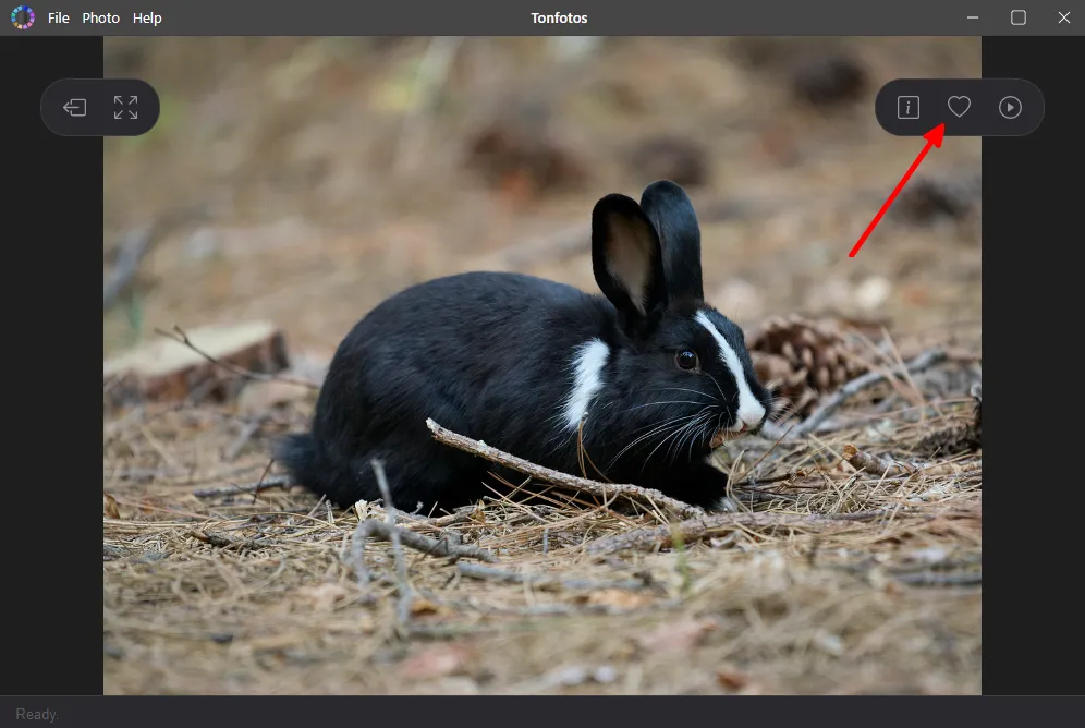 Adding a Photo to Favorites in Tonfotos