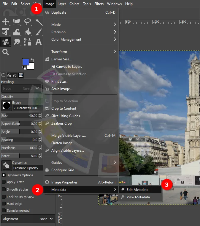 Fonction d'édition des métadonnées dans le menu de l'application GIMP