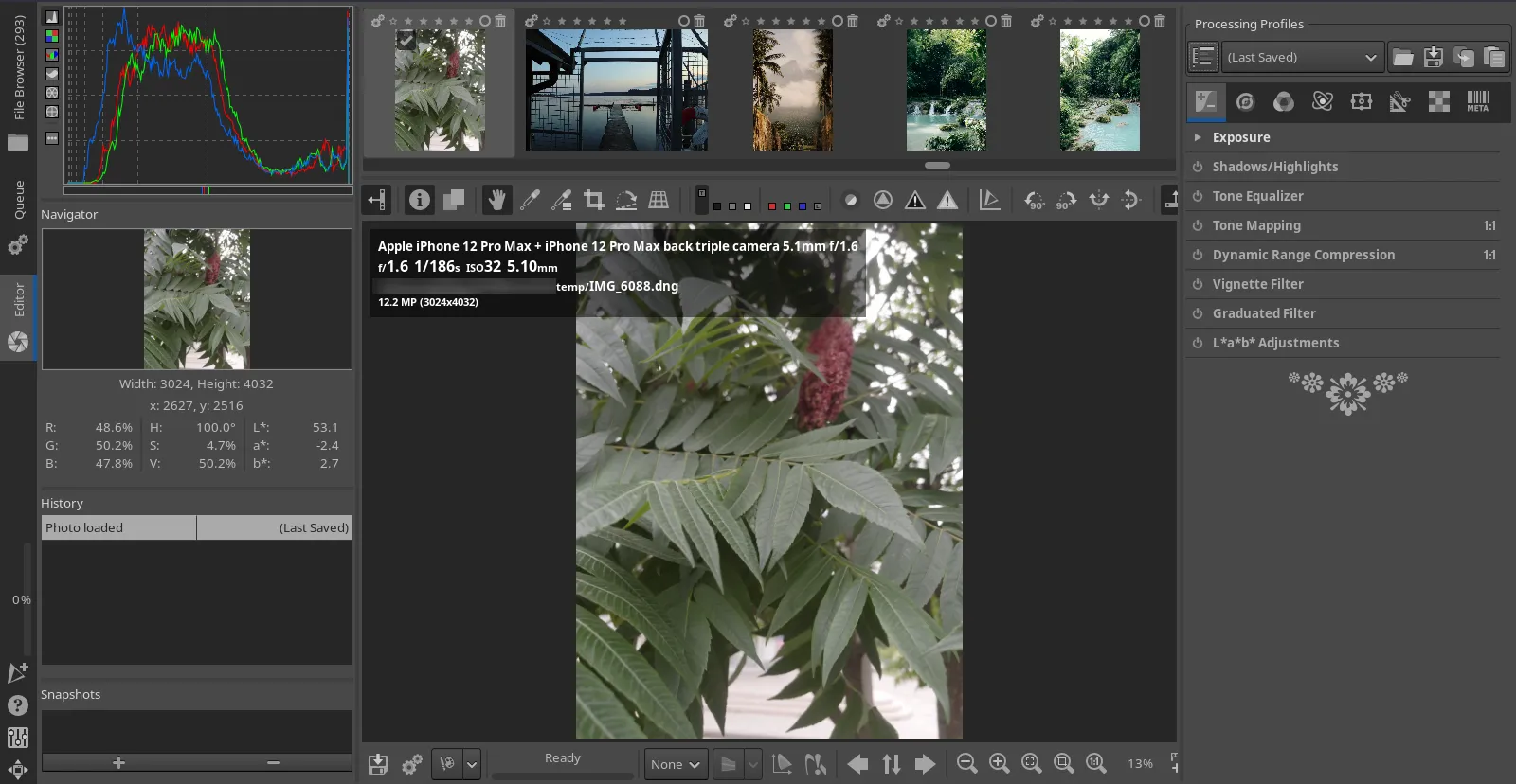 RAW photo editing mode therapee