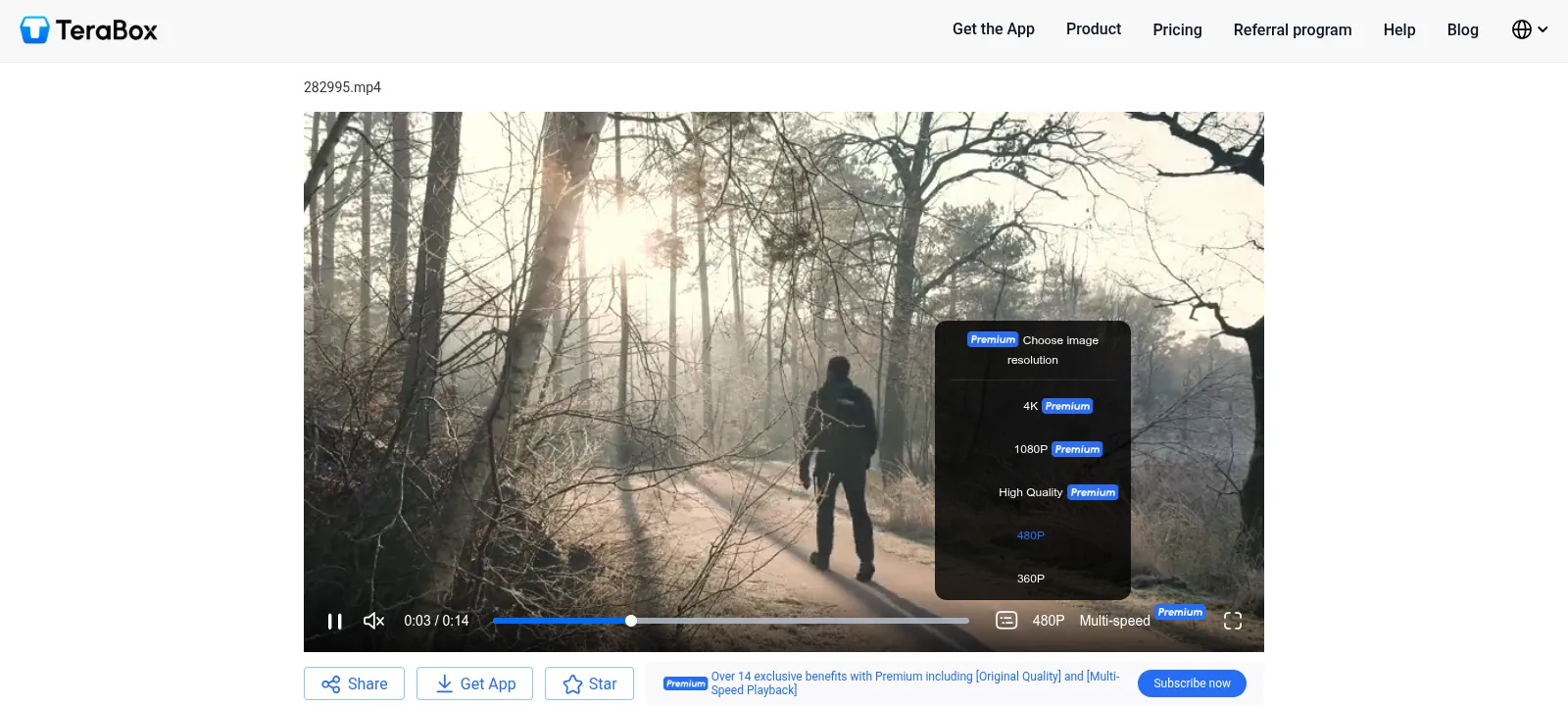 TeraBox media player