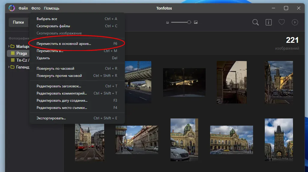 Инструмент перемещения фотографий в основной архив Tonfotos