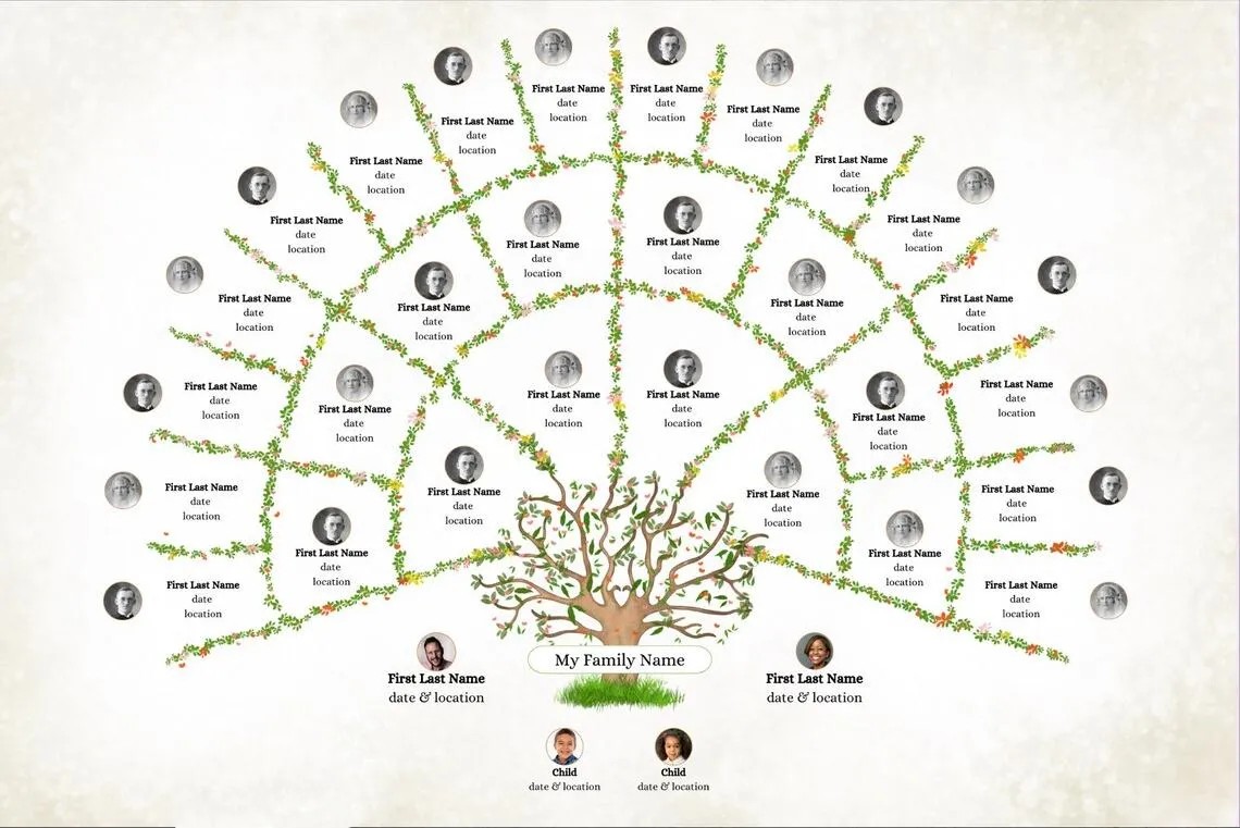 Example of a pedigree fan chart