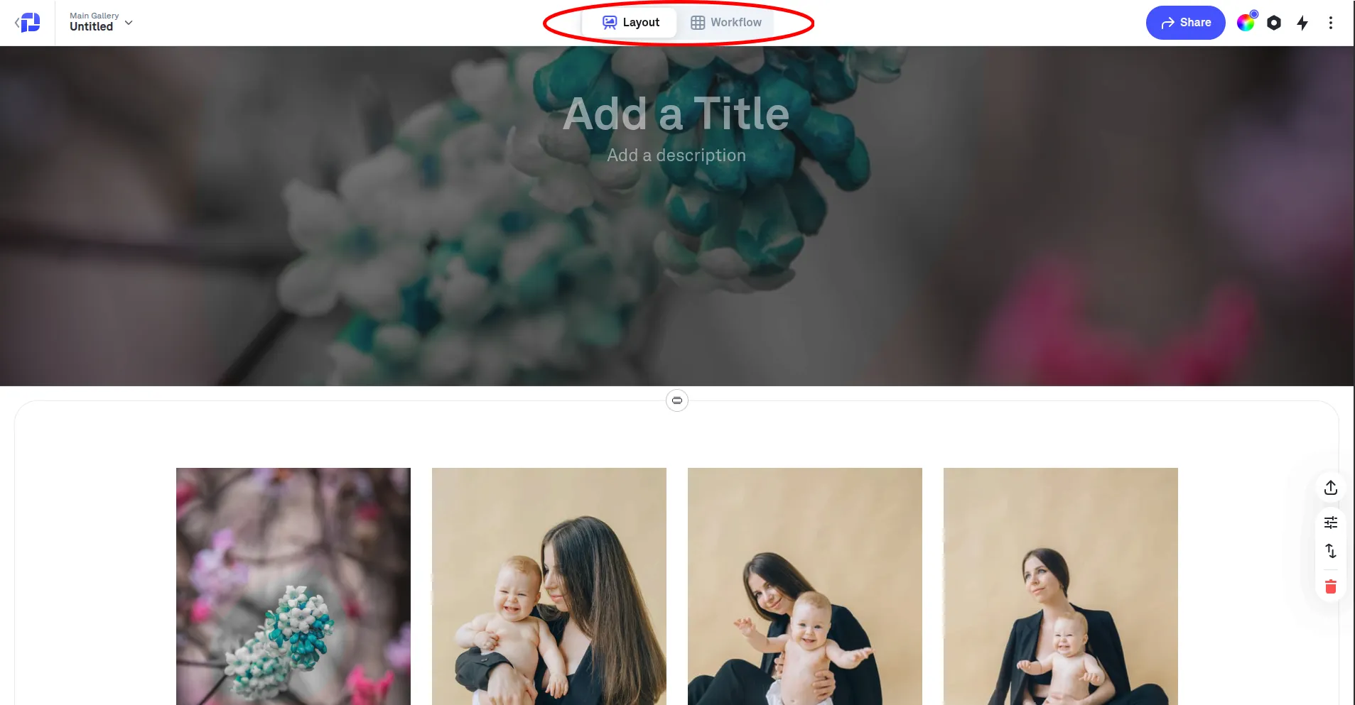 Picflow Photo Gallery Display Modes