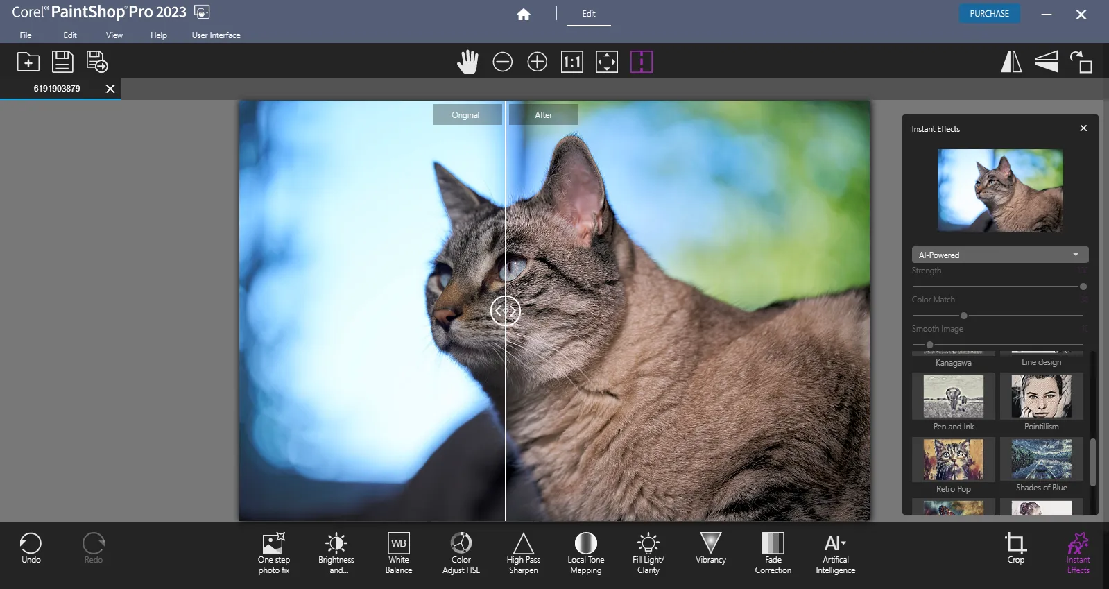Corel PaintShop Pro's photo editing interface and tools