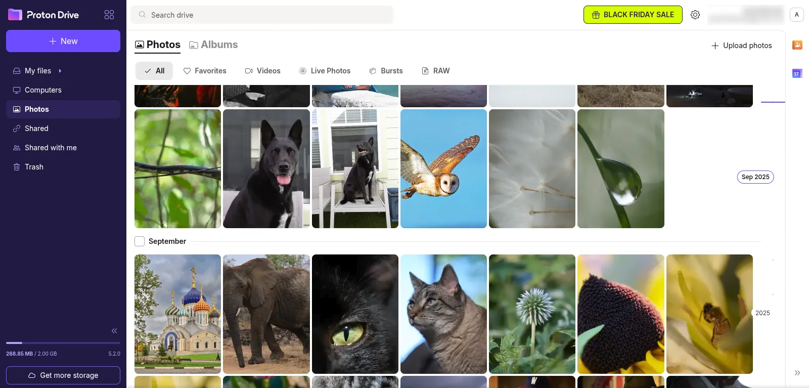 Proton Drive web interface