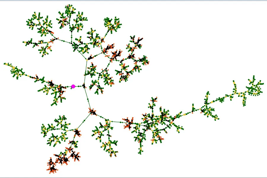 One of the options for visualizing a family tree in Ancestris