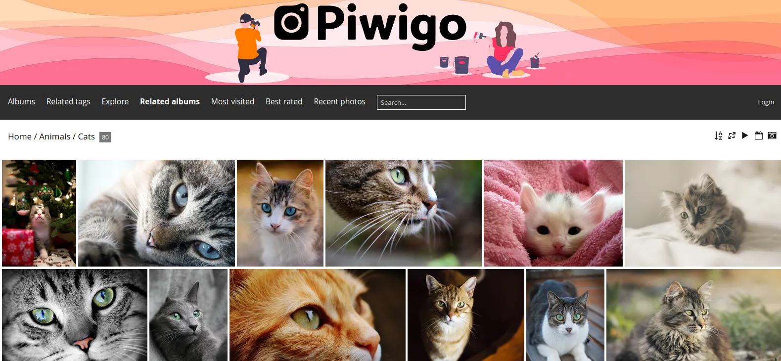 Gallery of photos of the Piwigo server program