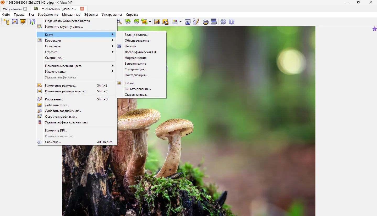 Интерфейс и функциональность XnView MP