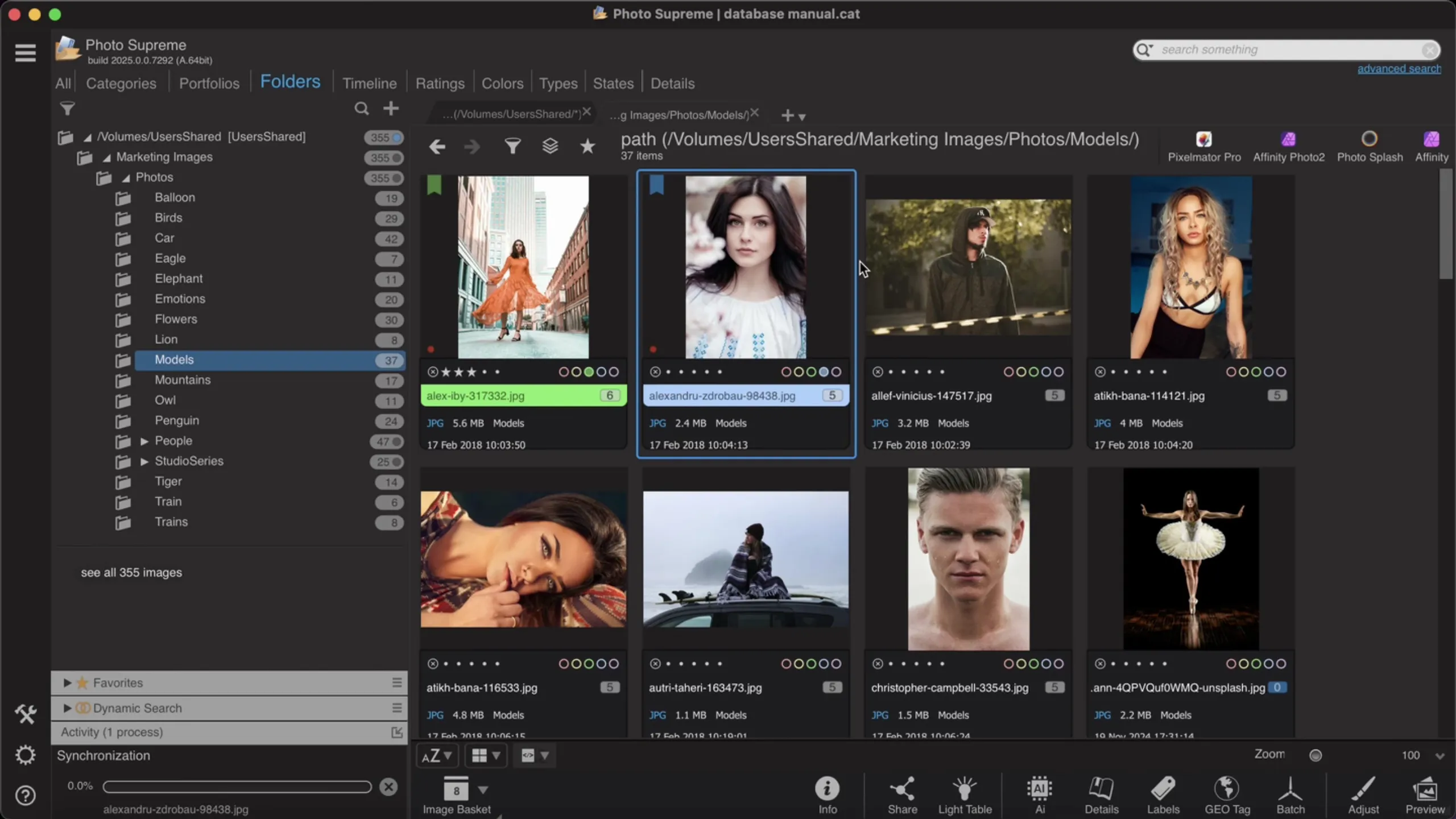 Interface design for Photo Supreme, a digital asset management program
