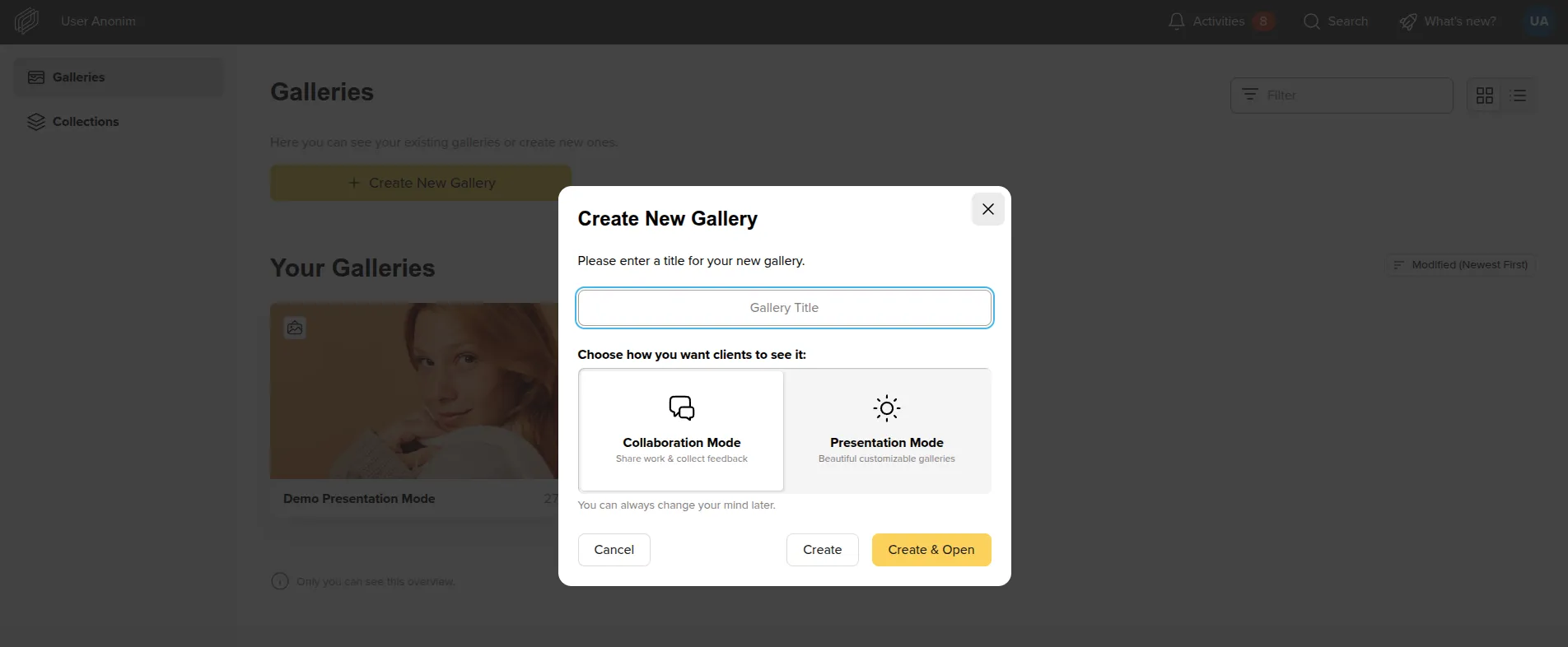 Creating a Photo Gallery in Picdrop