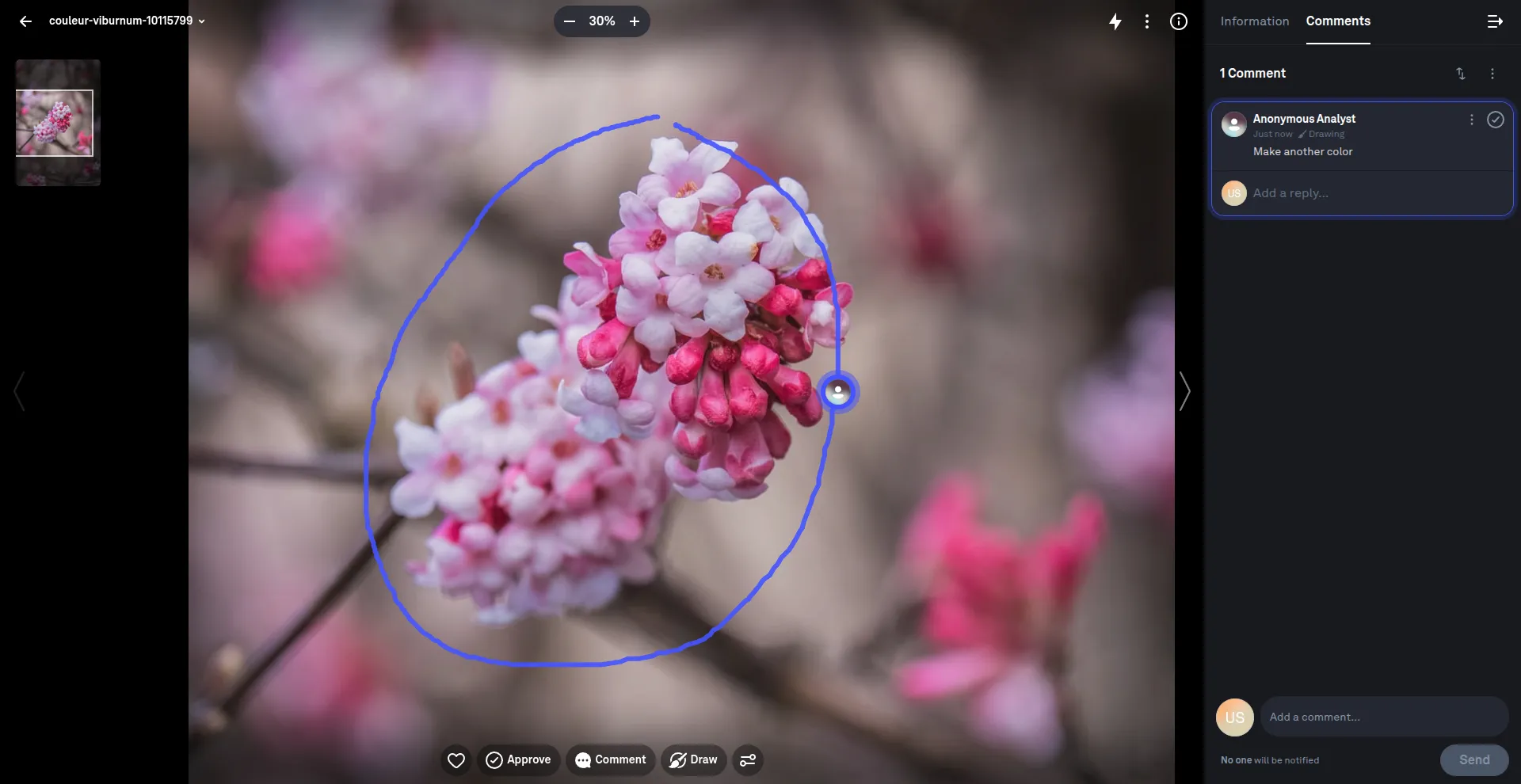 An example of annotation on a photo in Picflow