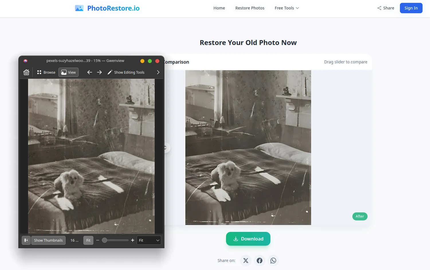 Ein Beispiel für die Fotowiederherstellung in PhotoRestore
